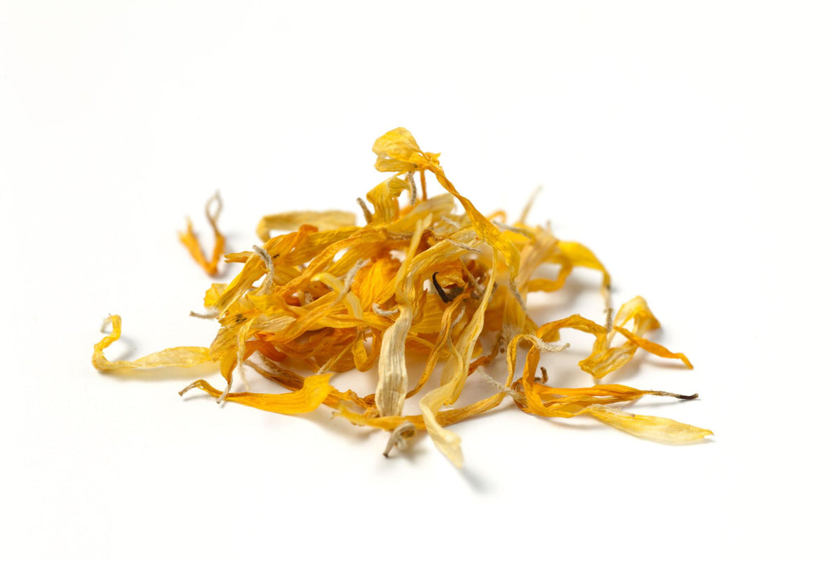 Calendula