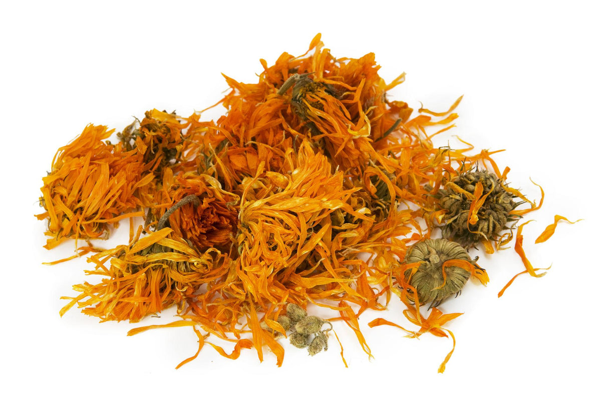 Calendula