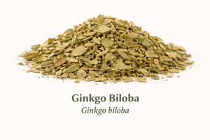 Ginkgo Biloba