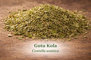 Gotu Kola
