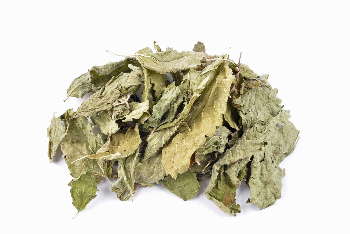 Lemon Balm