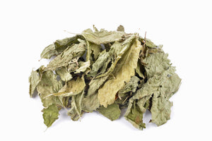 Lemon Balm