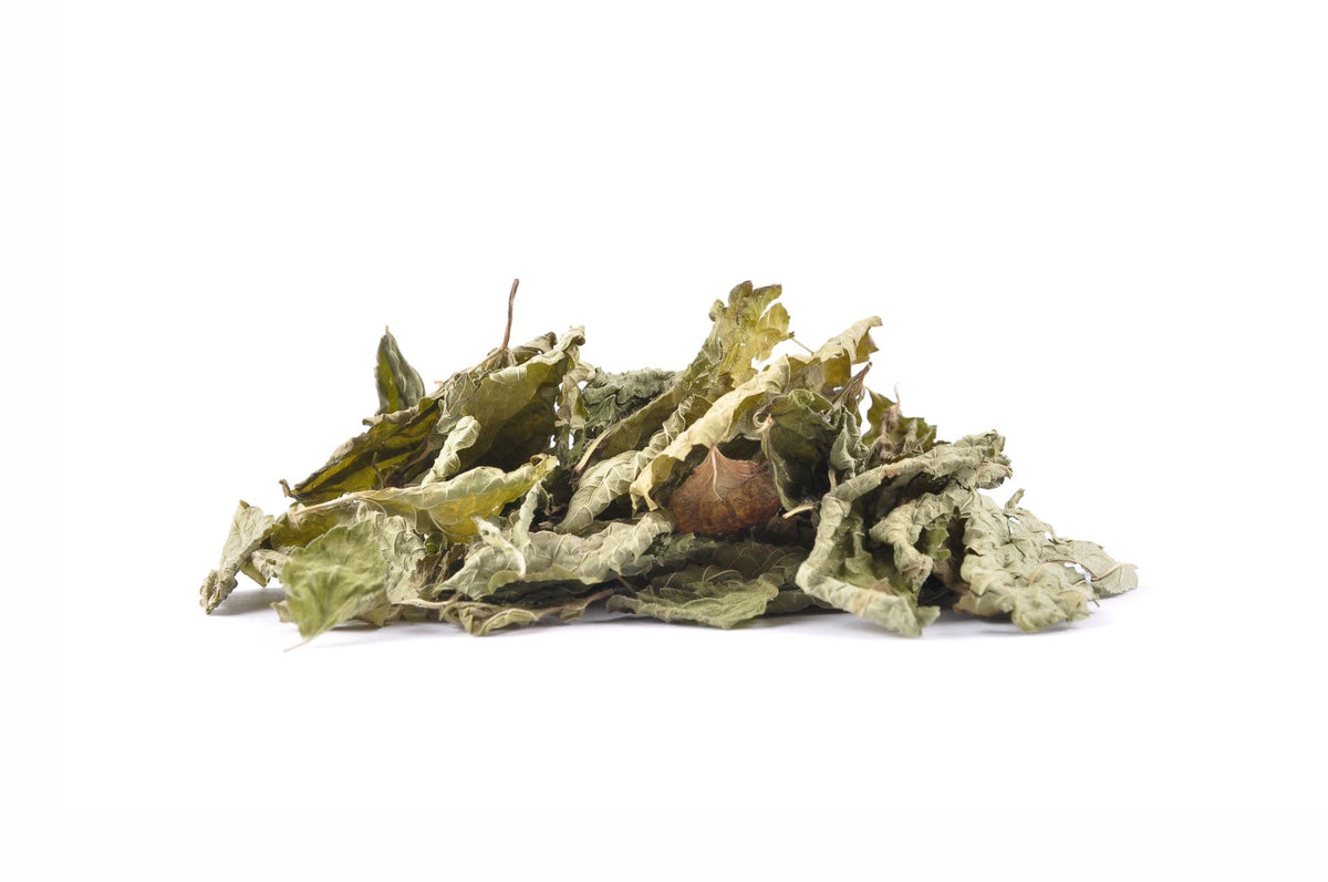 Lemon Balm