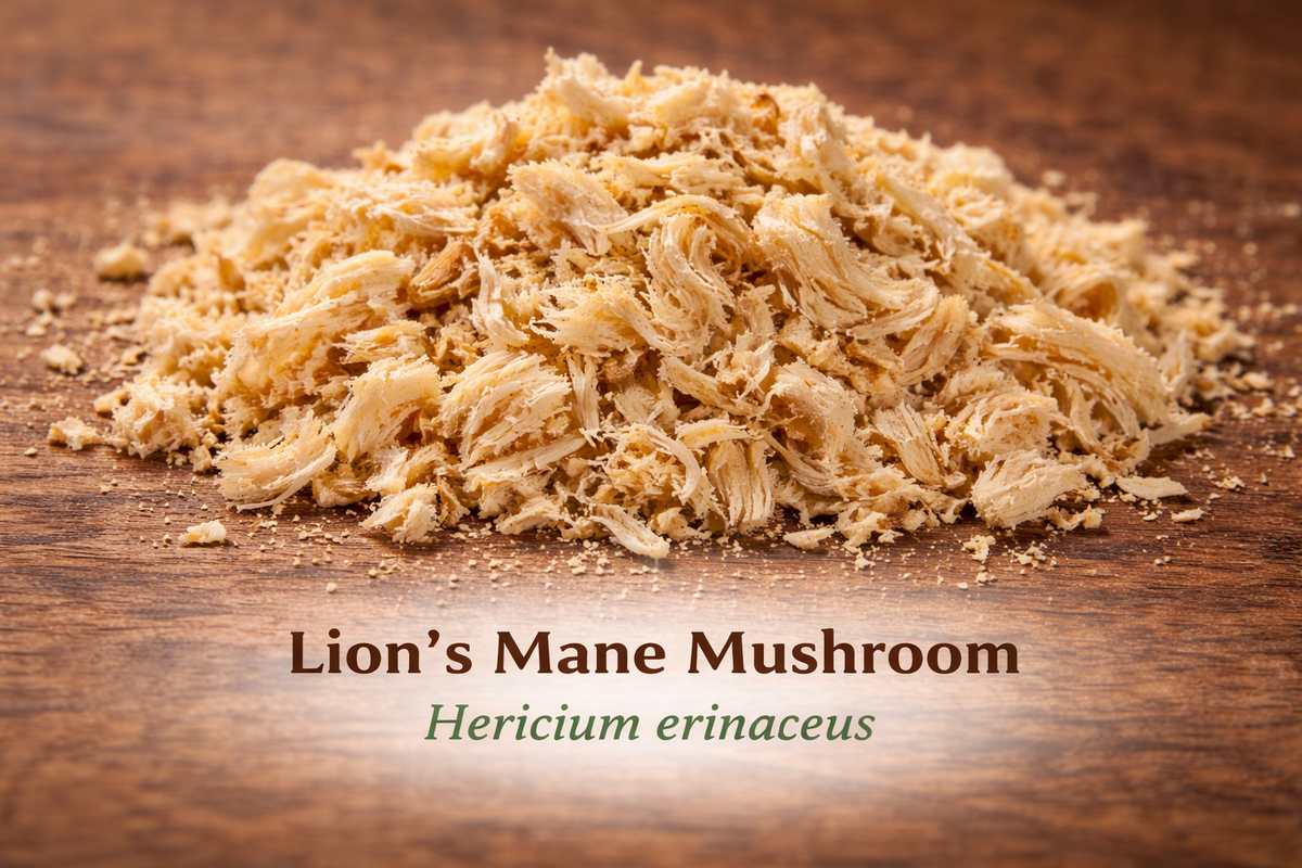 Lion’s Mane Mushroom