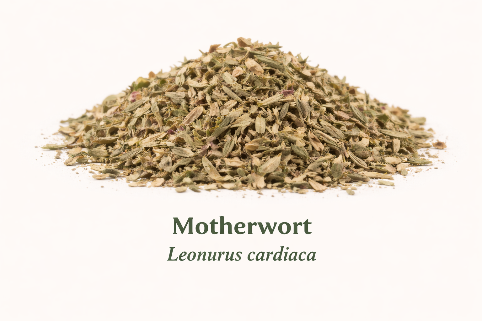 Motherwort