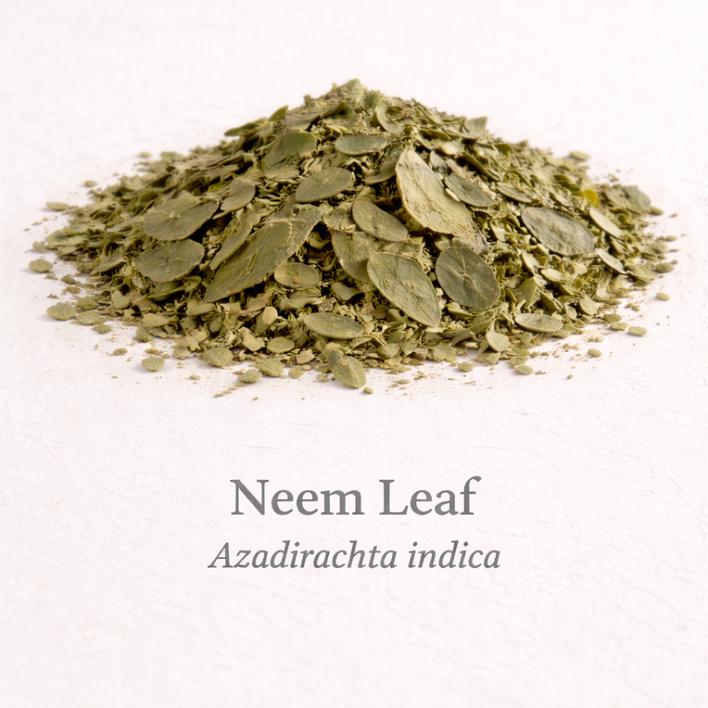 Neem Leaf