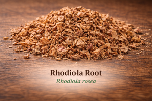 Rhodiola Root