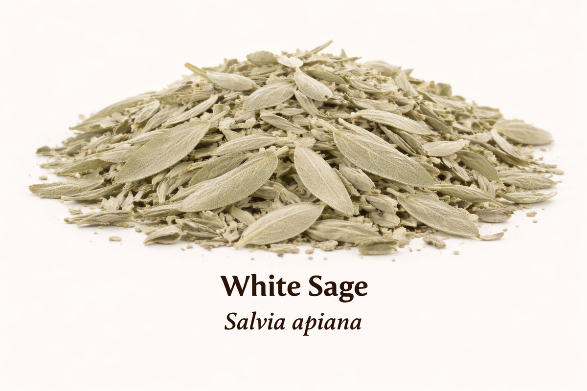 Sage Leaf