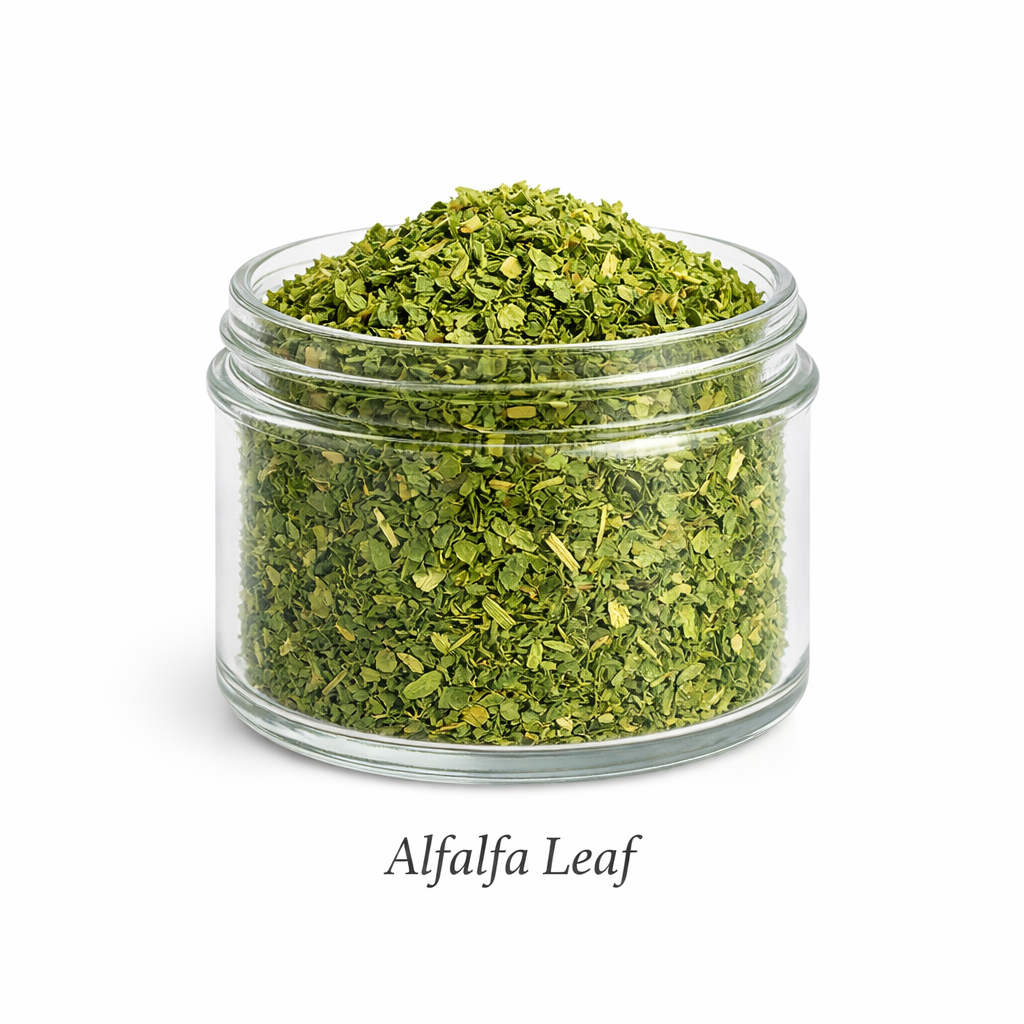 Alfalfa Leaf