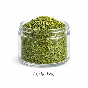 Alfalfa Leaf