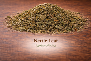 Nettle Leaf
